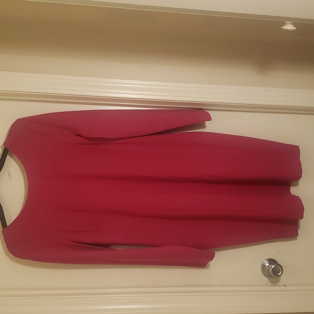 Banana Republic Women's Pink Ponte Zip Back Dress